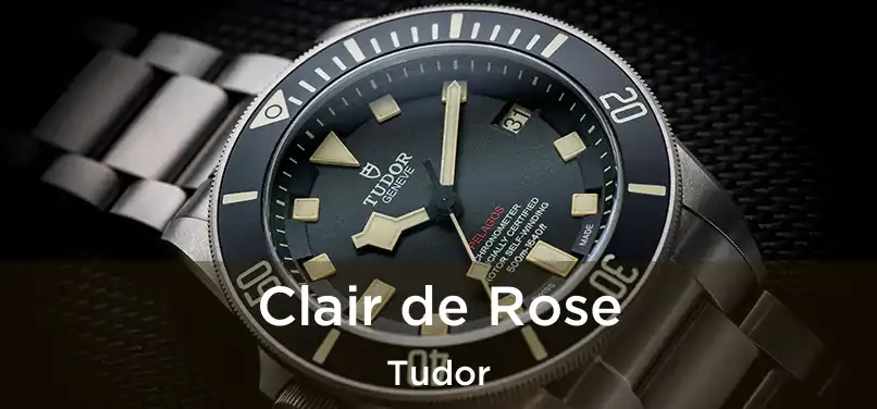 Clair de Rose Tudor